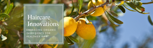 Haircare Innovations: Embracing Organic Ingredients for Healthier Hair
