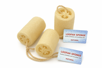 Loofah Sponge